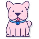 animals,mammal,pet,animal kingdom,dog
