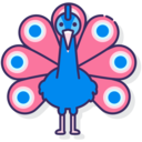 animals,wild life,zoo,animal,fauna,peacock