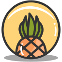 Pineapple,Summer,Tropical,Vacation,Food