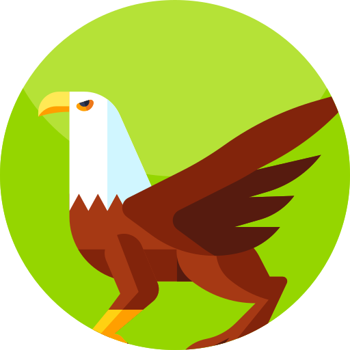 Griffin
