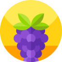 food and restaurant,fruit,grape,grapes,fruits,berry,berries,bouquet