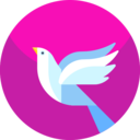 animals,peace,bird,pigeon,dove,fly,wings