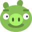 Favicon