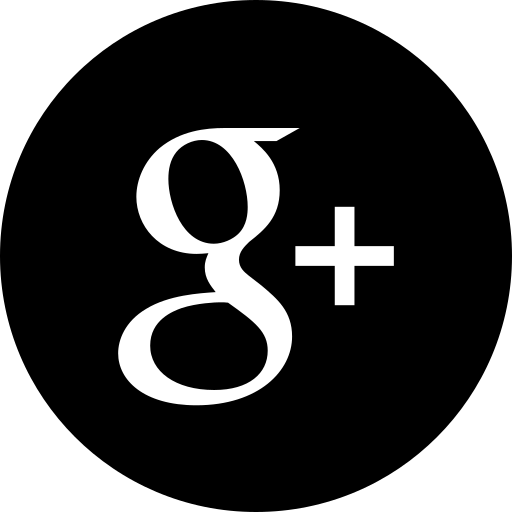 Google icon