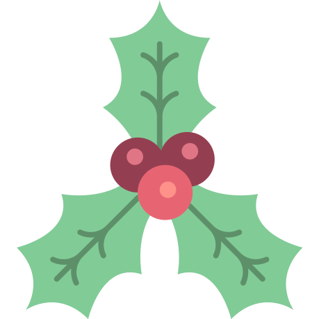 Christmas, holly, xmas icon
