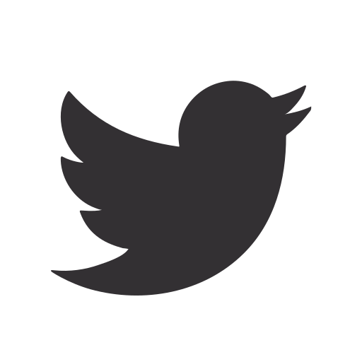 Audio, bird, media, news, social, twitter, video icon