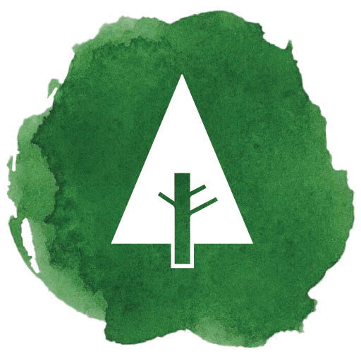 Forrest, forrst, newtork, social, tree icon