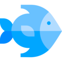 animals,wildlife,fish,animal,zoology,sea ok 