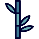 nature,asian,plant,chinese,leaf,leaves,plants