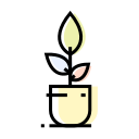Decoration,Flowerpot,Interior,Plant