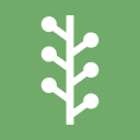 Newsvine