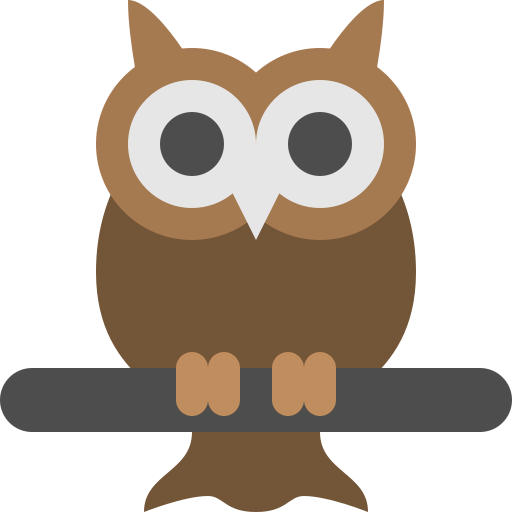 Bird, eyes, night, owl, vision, wild icon