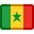 Flag, senegal icon