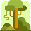 landscape,nature,scenery,rural,rainforest