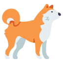 Animal,Dog,Inu,Japan,Japanese,Pet,Shiba