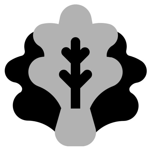 Lettuce, vegetable, fresh, vegetarian, nutrition icon