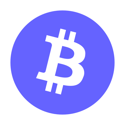 Bitcoin icon
