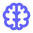 Brain