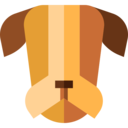 animals,mammal,pet,animal kingdom,dog,dog nose,pets