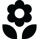Flower ok 
