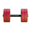 Gym,Front,Color
