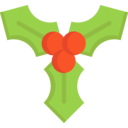 decoration,nature,christmas,ornament,mistletoe ok 