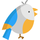 animals,zoo,bird,animal,ornithology ok 