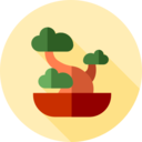 japan,cultures,nature,bonsai,plant,botanical