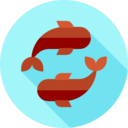 animals,fish,fishes,japanese,chinese,fortune,carp