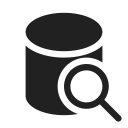 Ic,Fluent,Database,Search,Filled