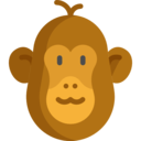 animals,mammal,wildlife,animal kingdom,zoo,monkey,primate