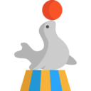 animals,entertainment,zoo,animal,carnival,seal,fairground,circus