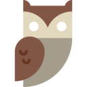 animals,bird,owl,hunter