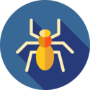 animals,animal kingdom,spider,insect,arachnid ok 