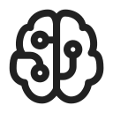 Ic,Fluent,Brain,Circuit,Regular