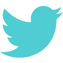 Brand,Logo,Network,Social,Twitter