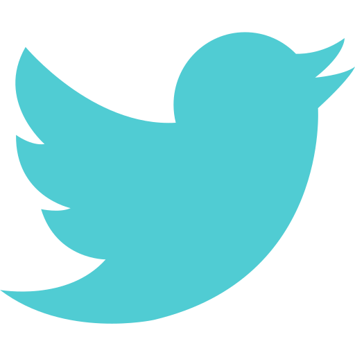 Brand, logo, network, social, twitter icon
