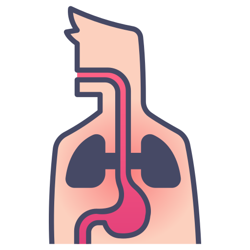 Body, disease, health, human, internal, medical, organ icon