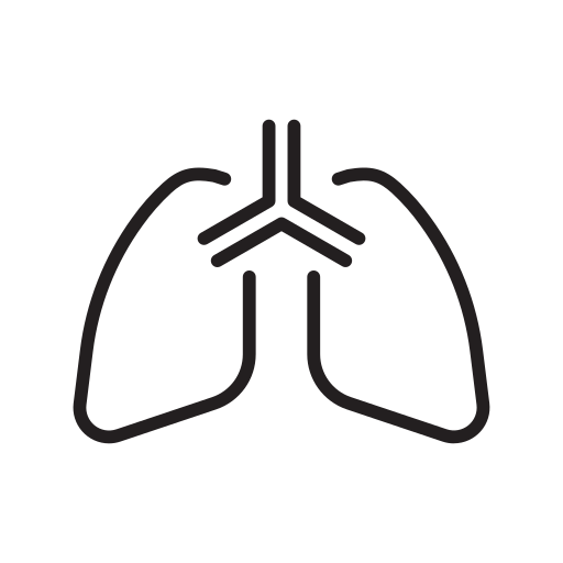 Health, healthcare, lung, medical icon