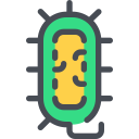 Bacteria,Medical,Science,Virus