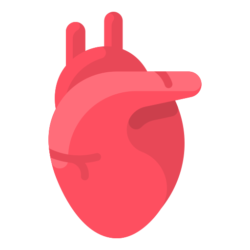 Anatomy, heart, human, medical, organ icon