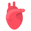 Coronavirus icon 64x64