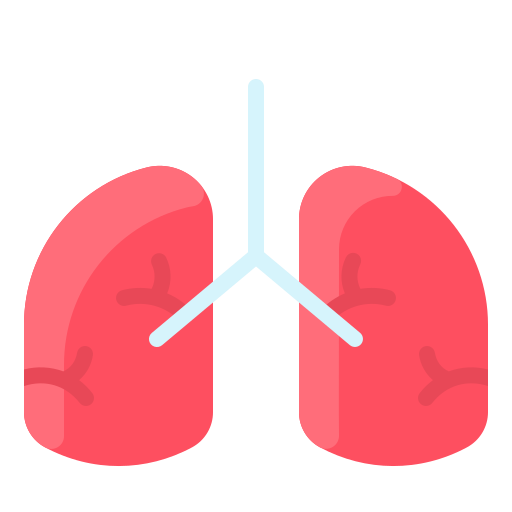 Anatomy, human, lung, medical, organ icon