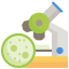 Infectious Pandemics icon 64x64
