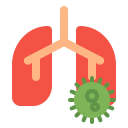 Anatomy,Coronavirus,Covid19,Lung,Medical,Organ