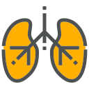 Corona,Coronavirus,Covid-19,Health,Lungs,Medical,Virus
