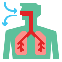 Coronavirus,Disease,Health,Medical,Respiratory,Virus