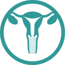Uterus