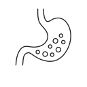 Stomach,Anatomy,Healthcare,Organ,Abdomen