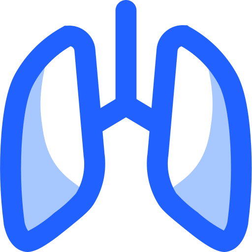 Anatomy, body, lung, lungs, organ icon